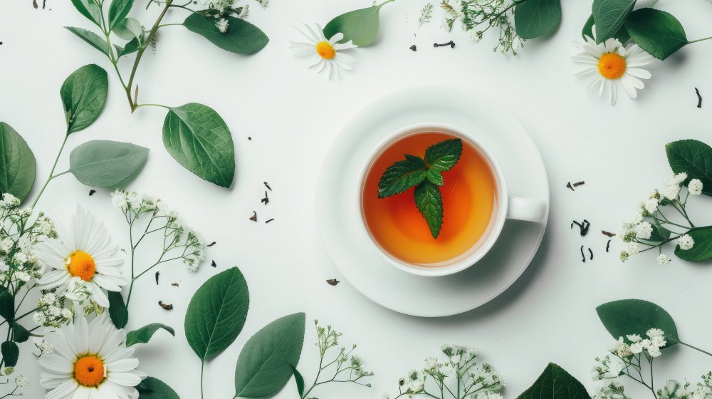 紅茶のはなし